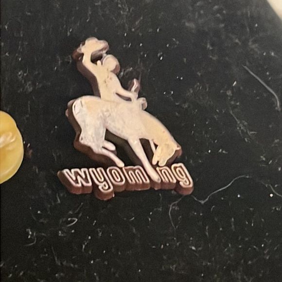 Vintage 1” x 0.75” “Wyoming ASI 65485” hat/lapel pin or tie tack - Picture 6 of 10